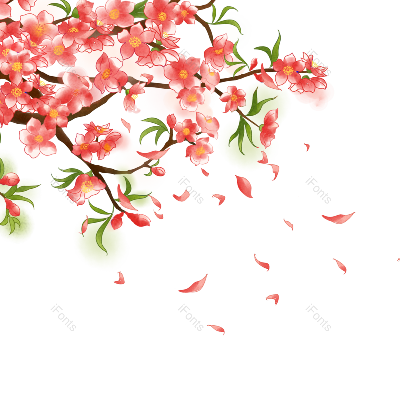 鲜花图片,花朵素材元素,花朵装饰PNG,植物素材免抠素材